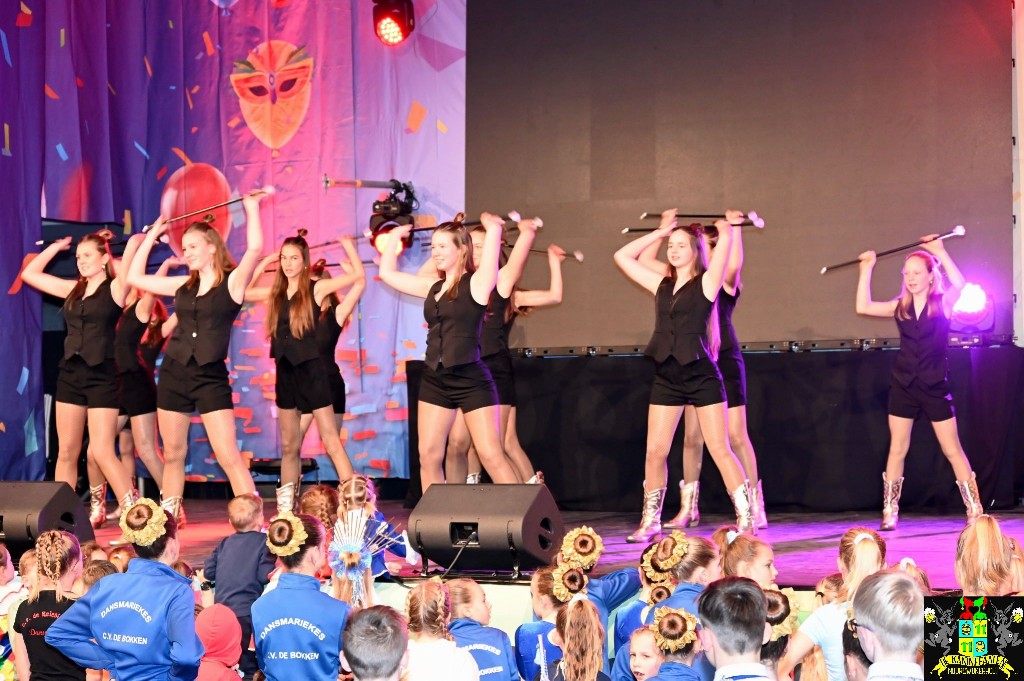 ../Images/Dansmariekefestival 2025 247.jpg